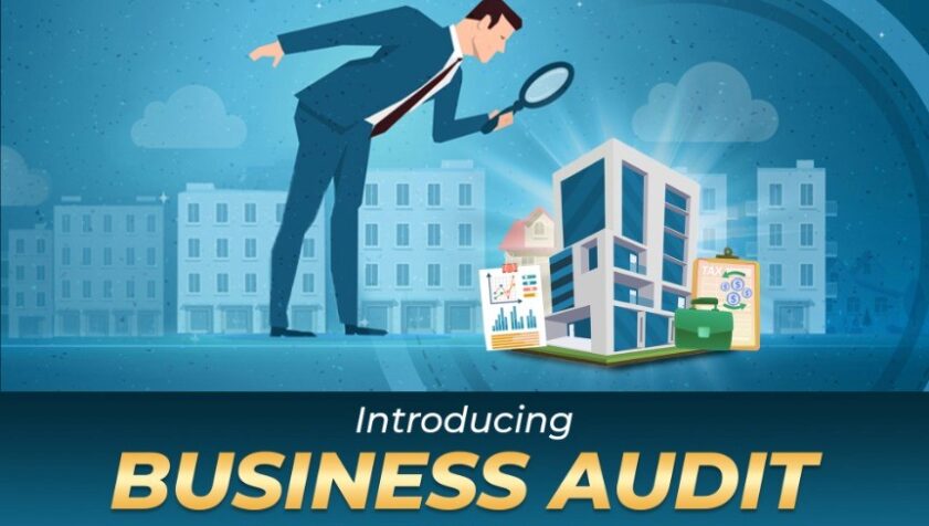 Business Audit